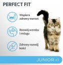 Perfect Fit™ - sucha karma pełnoporcjowa dla kociąt poniżej 1 roku, bogata w kurczaka 7kg Perfect Fit