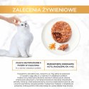 Purina Gourmet Gold Savoury Cake z kurczakiem i marchewką 85g Gourmet