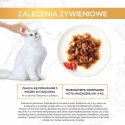Purina Gourmet Gold z wołowiną i kurczakiem w sosie z pomidorami 85g Gourmet