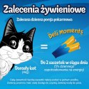 Felix Deli Moments Kremowe Przekąski Dla Kotów Z Kurczakiem 4x10g Felix