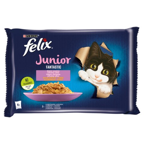 Felix Fantastic Junior W Galaretce Z Kurczakiem I Łososiem 4x85g Felix
