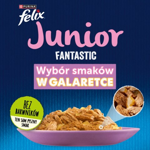 Felix Fantastic Junior W Galaretce Z Kurczakiem I Łososiem 4x85g Felix