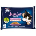Felix Fantastic Junior W Galaretce Z Kurczakiem I Łososiem 4x85g Felix