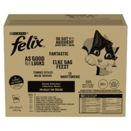 120 szt Felix Fantastic Karma Dla Kotów Wybór Smaków 120x85g Felix