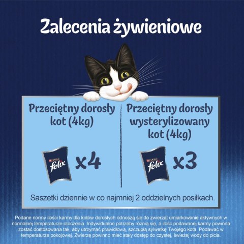 Felix Fantastic Mix Smaków W Galaretce Karma Dla Kota 44x85g Felix