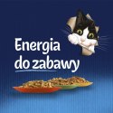 Felix Fantastic Mix Smaków W Galaretce Karma Dla Kota 44x85g Felix