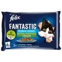 Felix Fantastic Wiejskie Smaki W Galaretce Z Łososiem I Pstrągiem 4x85g Felix