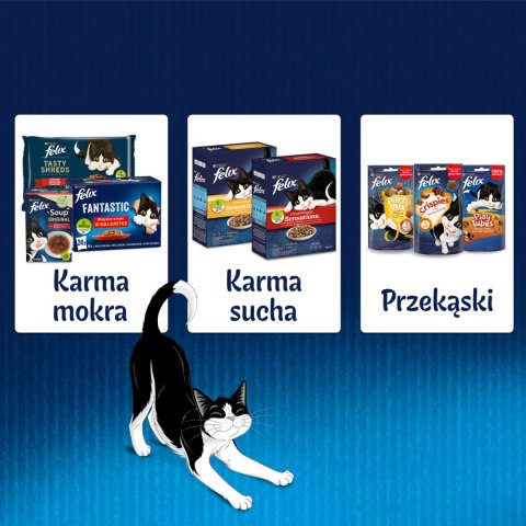 Felix Sensations Sauces Karma Dla Kota Wiejskie Smaki W Sosie 4x85g Felix