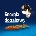 Felix Wiejskie Smaki W Galaretce Z Wołowina I Kurczakiem 4x85g Felix