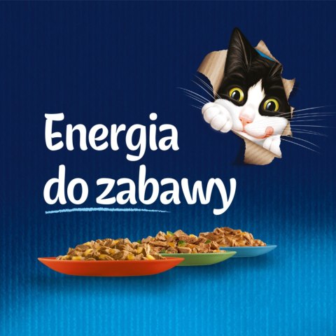 Felix Wiejskie Smaki W Galaretce Z Wołowina I Kurczakiem 4x85g Felix