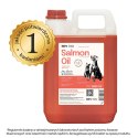 Lab-V Olej Z Łososia 100% Dla Psa I Kota W Każdym Wieku 5000ml Tłoczony Na Zimno LAB-V