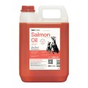 Lab-V Olej Z Łososia 100% Dla Psa I Kota W Każdym Wieku 5000ml Tłoczony Na Zimno LAB-V