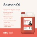 Lab-V Olej Z Łososia 100% Dla Psa I Kota W Każdym Wieku 5000ml Tłoczony Na Zimno LAB-V