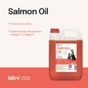 Lab-V Olej Z Łososia 100% Dla Psa I Kota W Każdym Wieku 5000ml Tłoczony Na Zimno LAB-V