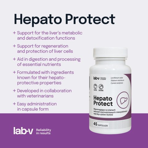 Lab-v Hepato Protect Wspomaganie Funkcji Wątroby Dla Psów I Kotów 45 Kapsułek LAB-V
