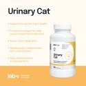 Lab-v Urinary Cat Wsparcie Układu Moczowego Dla Kotów 90 Kapsułek LAB-V