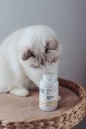 Lab-v Urinary Cat Wsparcie Układu Moczowego Dla Kotów 90 Kapsułek LAB-V