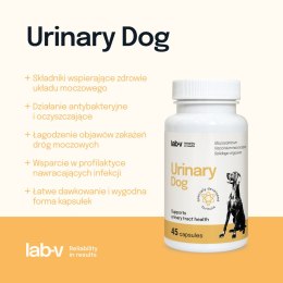 Lab-v Urinary Dog Wsparcie Przy Zakażeniu Dróg Moczowych U Psów 45 Kapsułek LAB-V