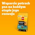 Pedigree Adult Professional Nutrition Drób Warzywa 12kg Pedigree