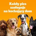 Pedigree Adult Professional Nutrition Drób Warzywa 12kg Pedigree