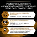 Pro Plan Veterinary Diets NF Early Care Renal Function Karma Dla Kota Z Kurczakiem 85g PRO PLAN Veterinary Diets