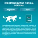 Purina One Adult Karma Dla Kota Z Kurczakiem I Zieloną Fasolką 85g PURINA ONE