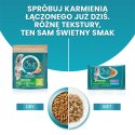 Purina One Indoor Formula Karma Dla Kota Z Tuńczykiem I Zieloną Fasolką 85g PURINA ONE