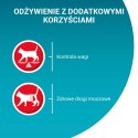 Purina One Sterilcat Karma Dla Kota Z Indykiem I Zieloną Fasolką 85g PURINA ONE