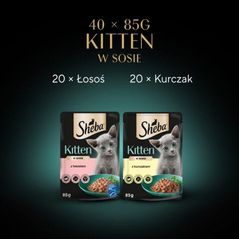 Sheba Kitten Wybór Smaków W Sosie Karma Dla Kociąt 40x85g Sheba