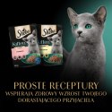 Sheba Kitten Wybór Smaków W Sosie Karma Dla Kociąt 40x85g Sheba