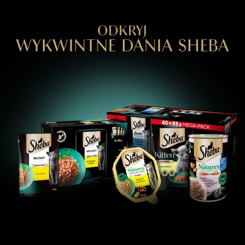 Sheba Sauce Collection Karma Mokra Dla Kota Z Cielęciną W Sosie 85g Sheba