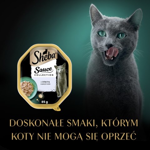 Sheba Sauce Collection Karma Mokra Dla Kota Z Cielęciną W Sosie 85g Sheba