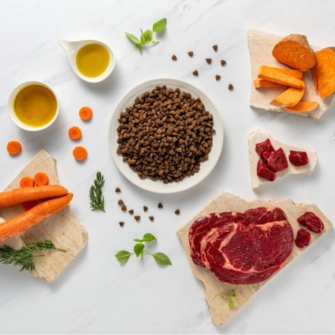 VetExpert Raw Paleo Ultra Beef Adult Medium/Large 10kg RAW PALEO