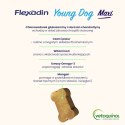 Vetoquinol Flexadin Young Dog Maxi Kąski Dla Psa 60 Sztuk Vetoquinol