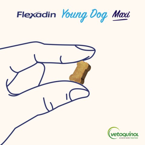 Vetoquinol Flexadin Young Dog Maxi Kąski Dla Psa 60 Sztuk Vetoquinol