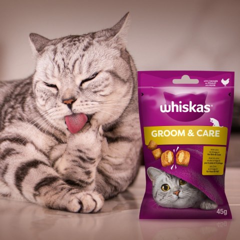 Whiskas Zdrowy Blask Przysmak Dla Kota Z Kurczakiem 45g Whiskas