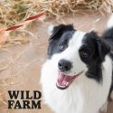Wild Farm Kanapka Z Kaczką 500g Przysmak Dla Psa Wild Farm