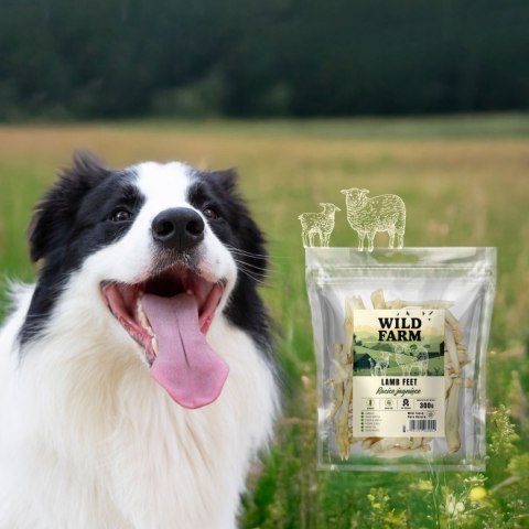 Wild Farm Racice Jagnięce 300g Przysmak Dla Psa Wild Farm