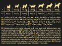 Hektor Karma Mokra Dla Psa Z Drobiem 1240g Hektor