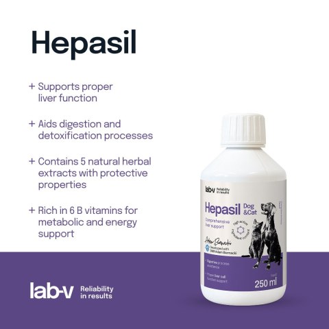 Lab-V Hepasil Dog & Cat Preparat Na Wątrobę Dla Psa I Kota 250ml LAB-V