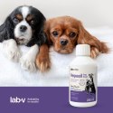 Lab-V Hepasil Dog & Cat Preparat Na Wątrobę Dla Psa I Kota 250ml LAB-V