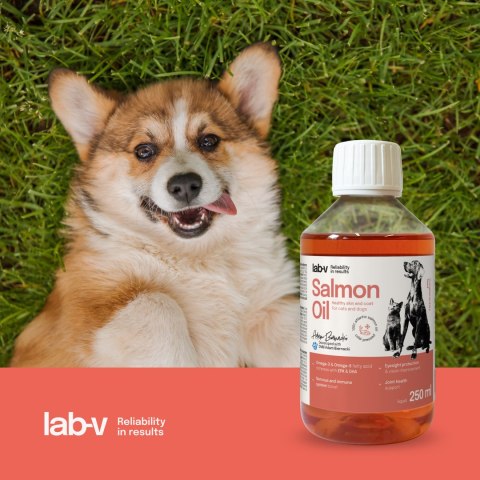Lab-V Olej Z Łososia 100% Dla Psa I Kota W Każdym Wieku 250ml LAB-V