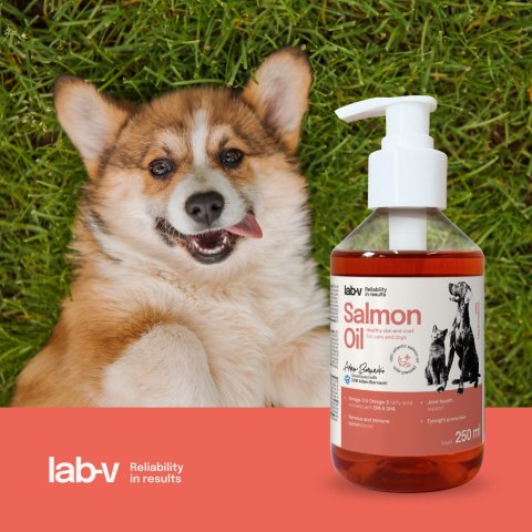 Lab-V Olej Z Łososia 100% Dla Psa I Kota W Każdym Wieku 250ml LAB-V