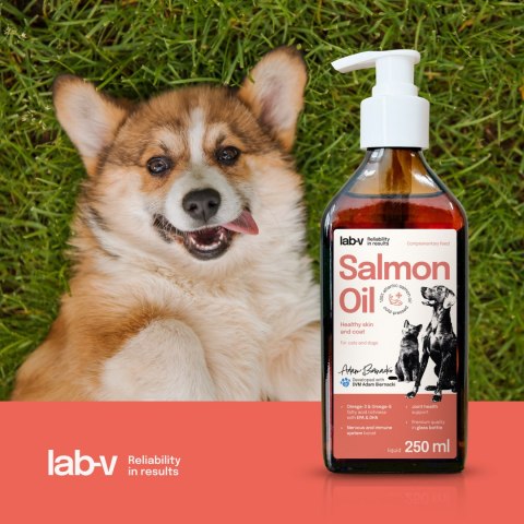 Lab-v Olej Z Łososia 100% Dla Psa i Kota 250ml LAB-V