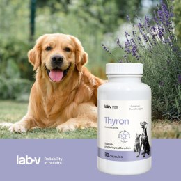 Lab-v Thyron - Wsparcie Prawidłowej Pracy Tarczycy dla Psów i Kotów 90 Kapsułek LAB-V