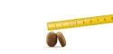 Osera Adult Optiness 12,5kg Josera