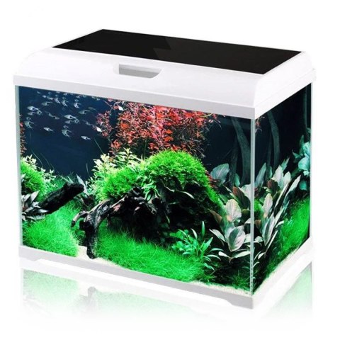 SunSun Supreme AquaPlant 40l - zestaw akwarium SunSun