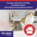 Ceva Animal Health Polska Sp. Z O.o Feliway Friends Wkład Dyfuzora 48ml Ceva Animal Health Polska Sp. z o.o.