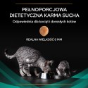 PURINA Pro Plan Veterinary Diets EN Gastrointestinal Cat 5kg PRO PLAN Veterinary Diets