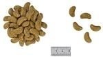 ROYAL CANIN Renal Select Canine 10kg Royal Canin weterynaria
